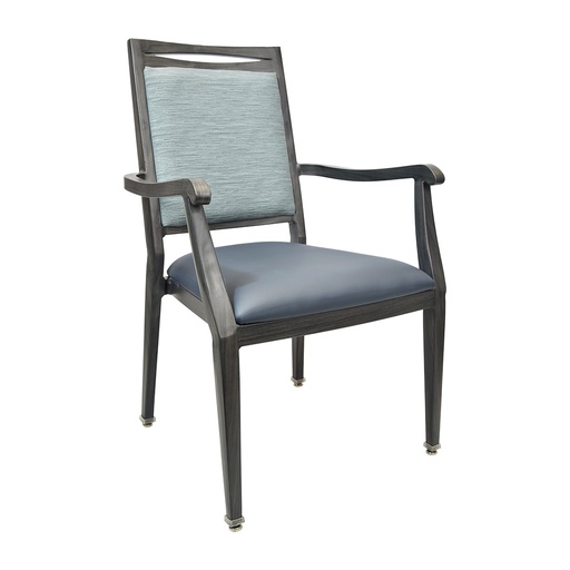 Ada Arm Chair - CA-3881-A-QS2 # 29