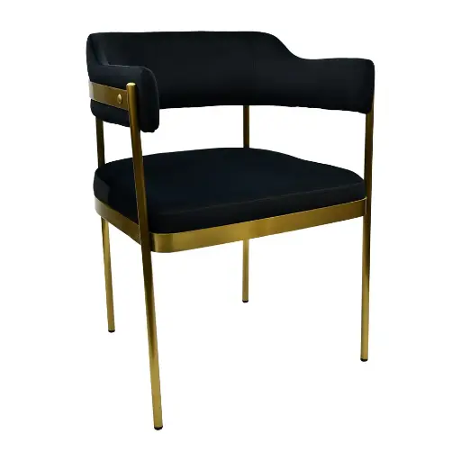 Watson Chair - CM-3959-A-QS